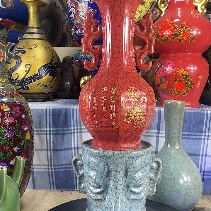 陶泽如花儿盛开了