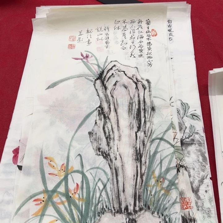 国画花鸟等多种鸟类和鸟类为