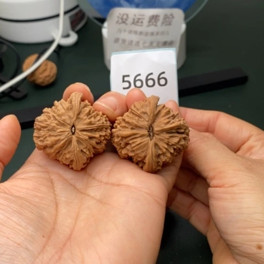 把件文玩核桃39南疆石5666