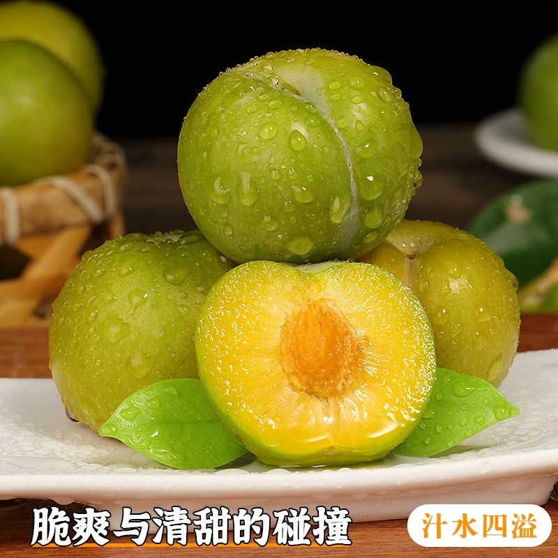 （雷娃子代卖）正宗四川脆甜脱骨李子5斤应季新鲜青脆酸甜脱骨李