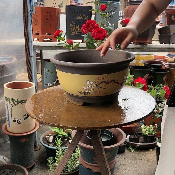 黄富贵点彩大花盆花盆花盆