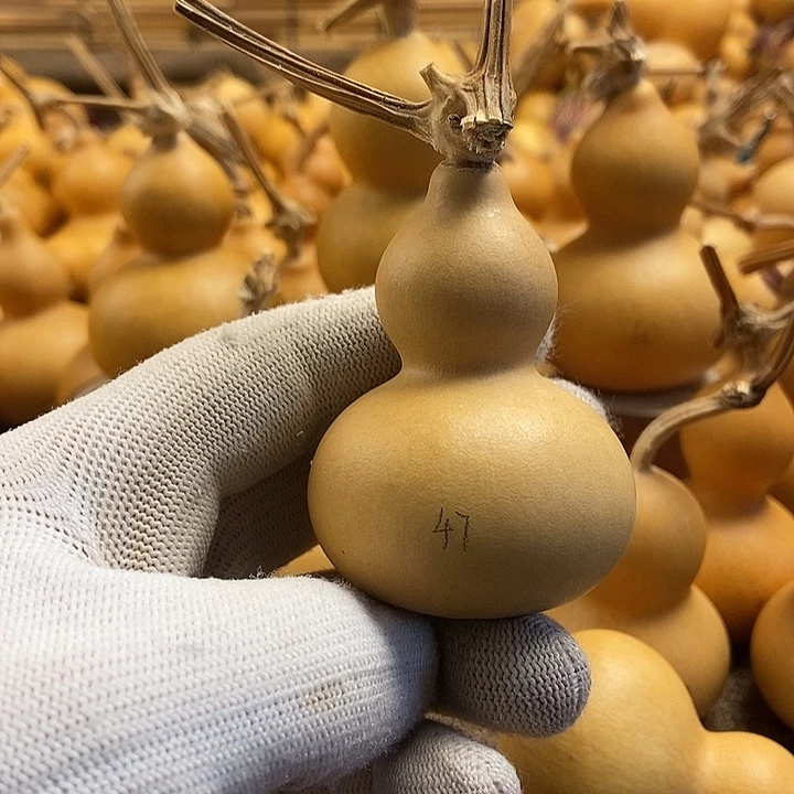 文玩葫芦 完美主义者 慎拍47