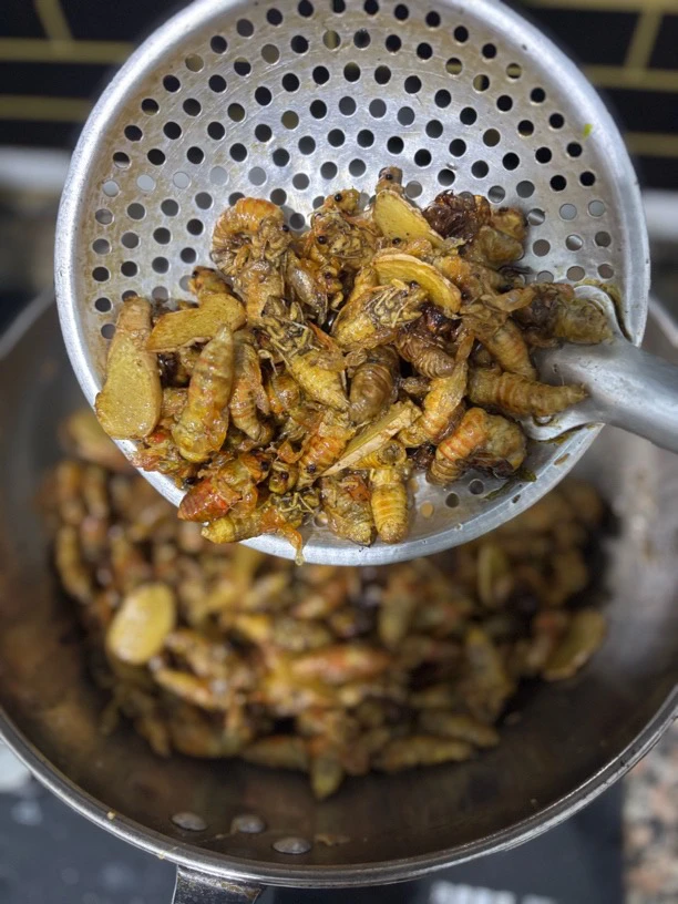 2025新鲜野生白蝉 脱壳知了 2瓶100只顺丰包邮 油炸爆香