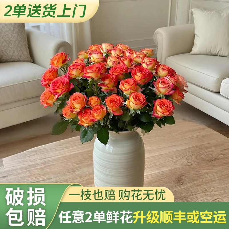 【源头优选老六】爱丽丝多头玫瑰/元旦预热 任意两单鲜花升级快递