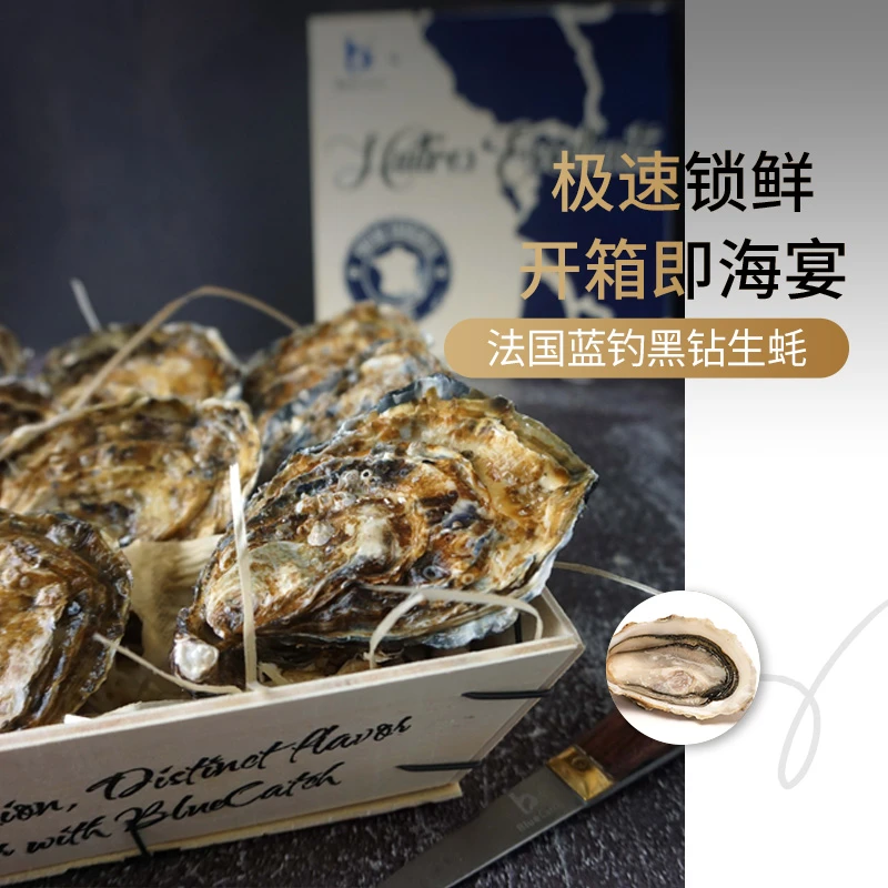 法蚝黑钻3号生蚝夏朗德产区饱满肥厚奶香
