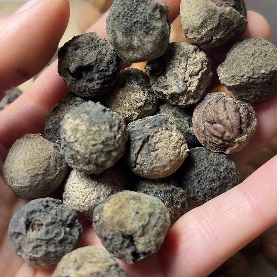 桃核吊坠老*豆秦岭龙文桃宵