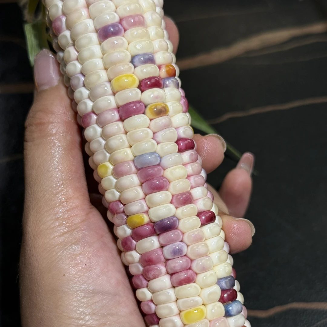 文玩玉米一物一拍 3