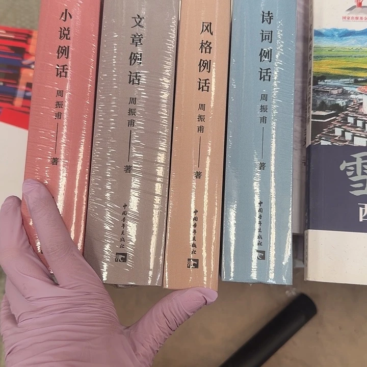 周振莆四本小说例话