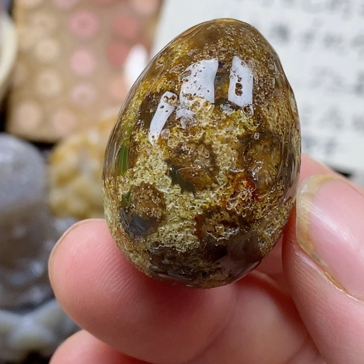 颈饰未镶嵌硅化珊瑚（珊瑚玉）有瑕