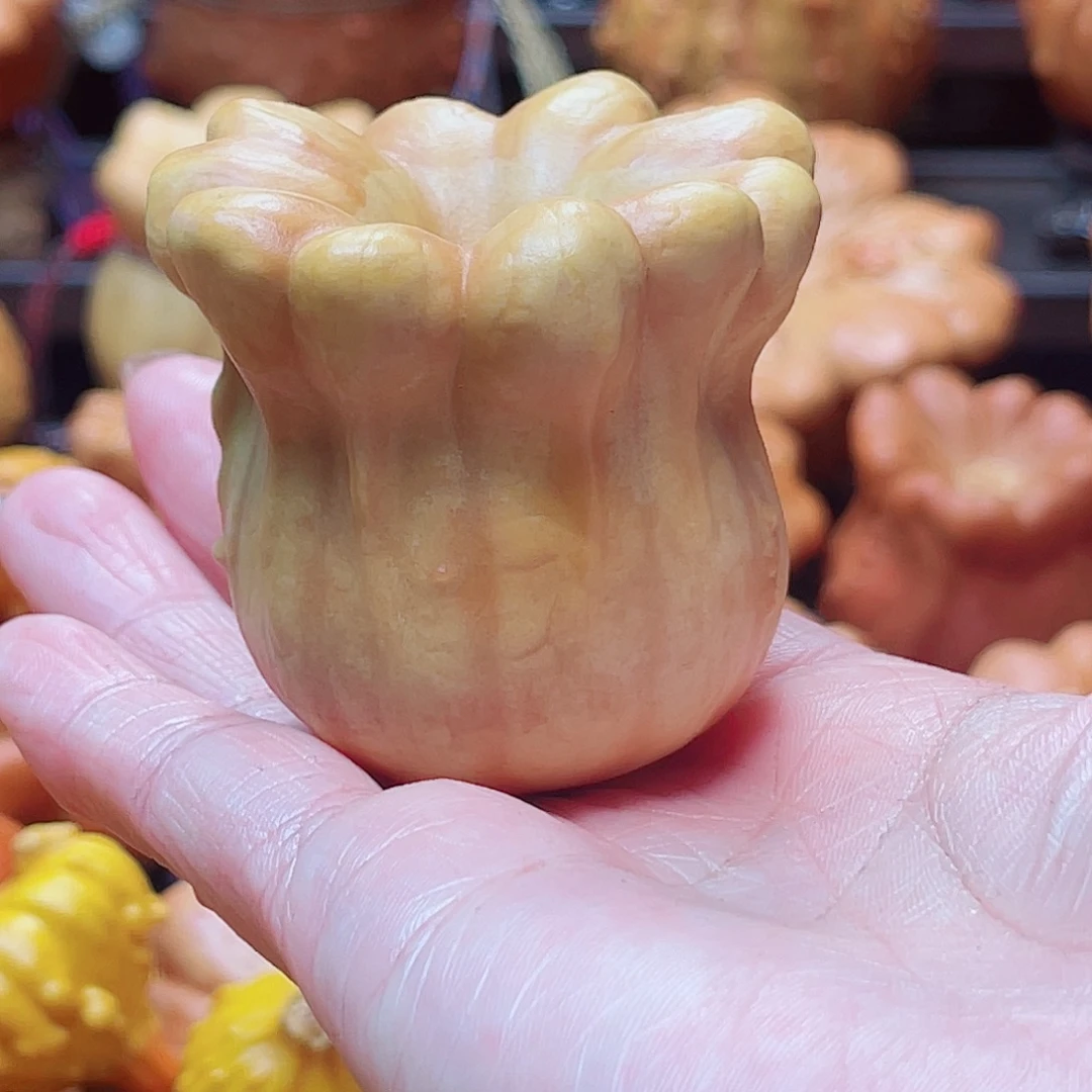 在***起大叶紫檀（黑酸枝木类）