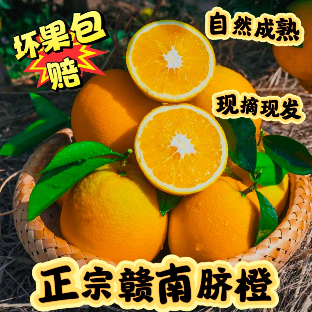 现摘赣南脐橙不打蜡不催熟果园直发爆汁阳光甜坏果包赔5/10/20斤