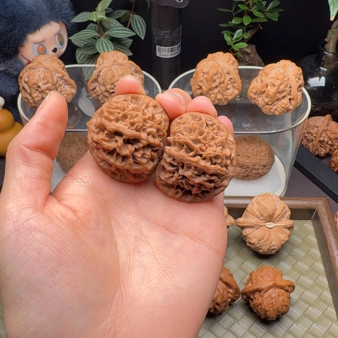 把件龙脊菩提全品头货秦闷38+