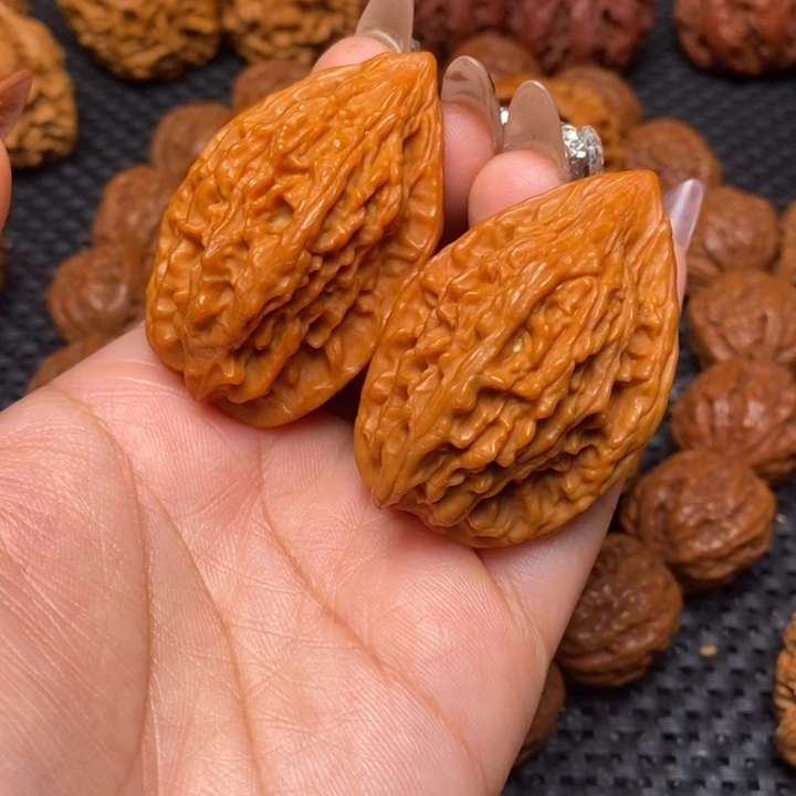 秦岭野生0000000005