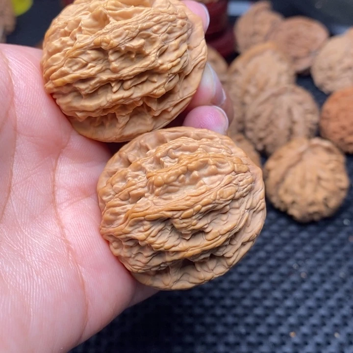 秦岭野生❤️❤️❤️❤️