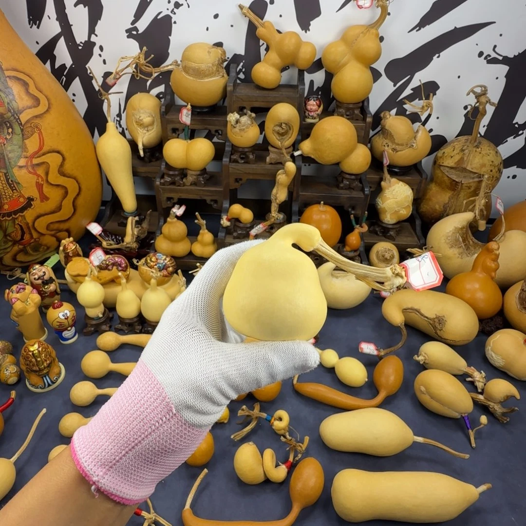 莎***莎葫芦葫芦葫芦葫芦葫芦葫芦葫芦