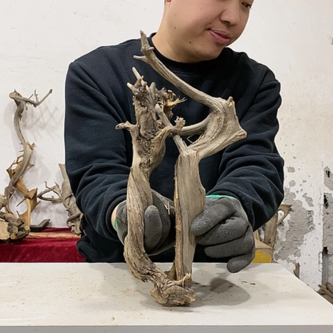 【闪购商品】柏木山*我们都是好孩子