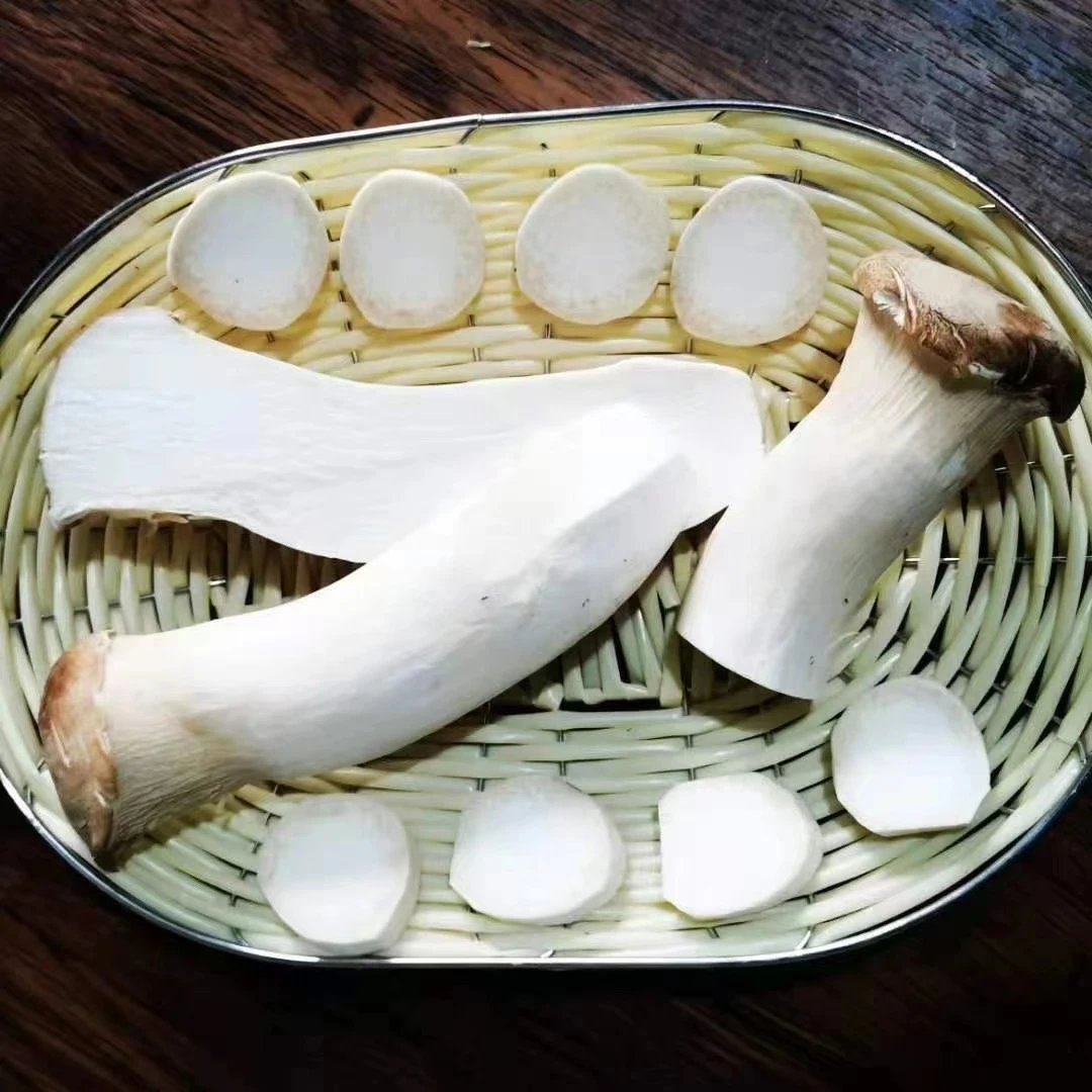 新鲜杏鲍菇1斤左右