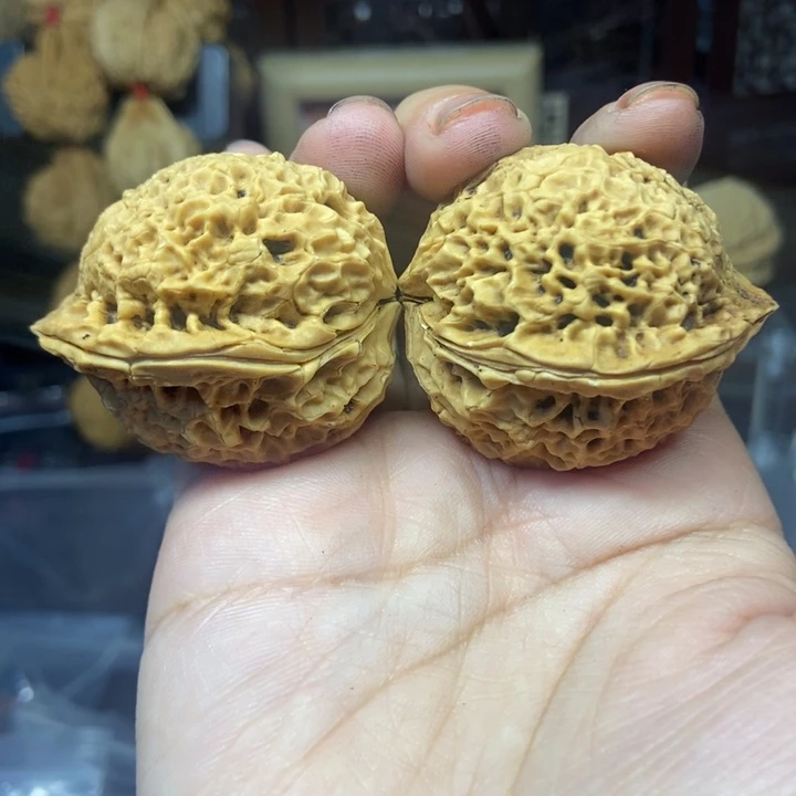 吊坠文玩核桃粗筋珊瑚罗汉