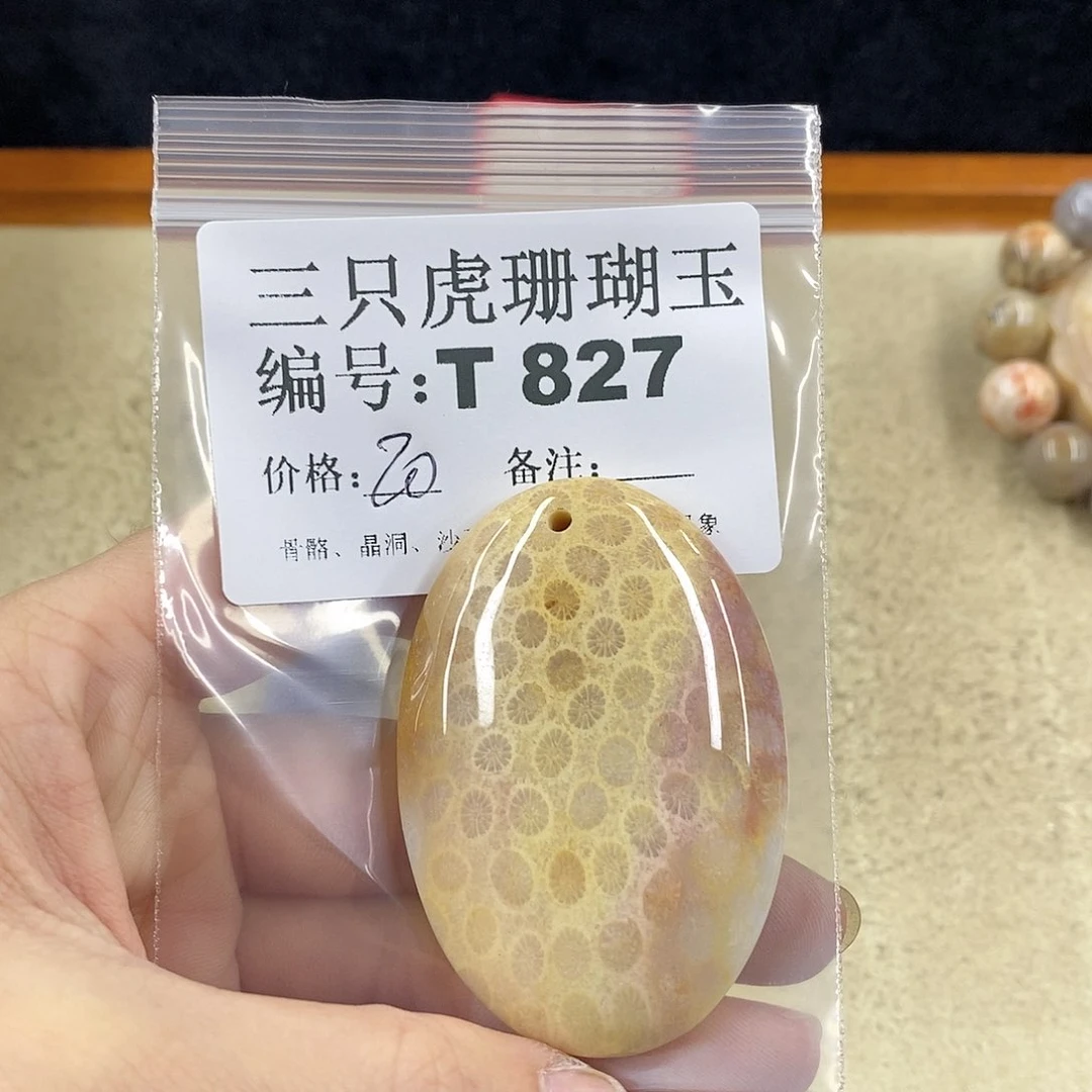 硅化珊瑚（珊瑚玉）1未镶嵌*‍****