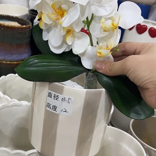 多肉绿植陶瓷花盆9.9包邮，有孔