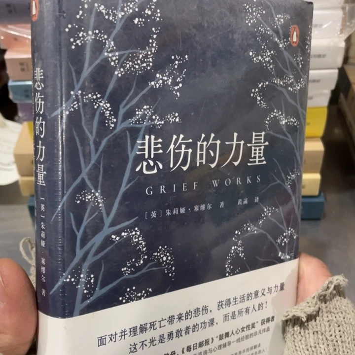 悲伤的力量正版精装