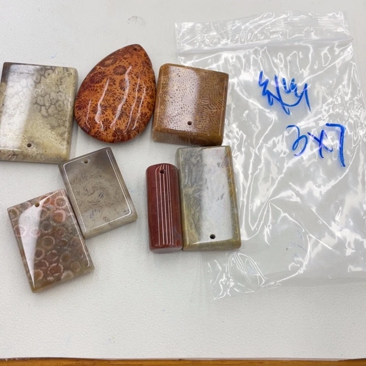 幽***宫硅化珊瑚（珊瑚玉）合金颈饰