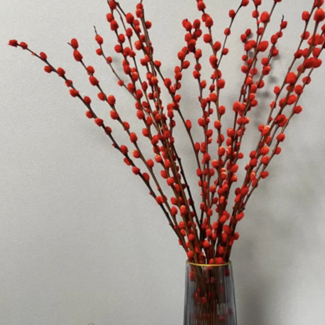 【红色银柳20支】京津冀今天下单明天送全场任意两单包邮