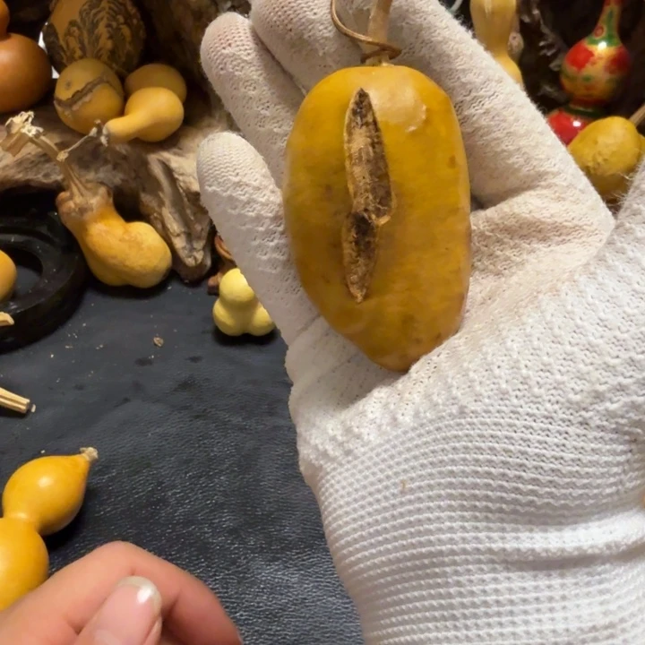 风***噬天裂凹坑6666666666