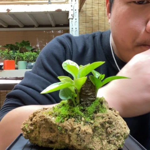 红陶一物一拍所见即所得114
