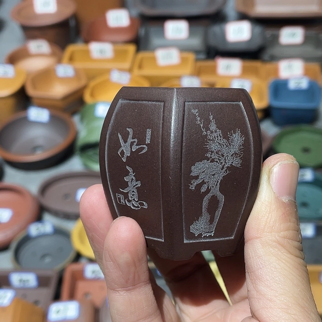 紫砂小盆3.5*5cmmmmm