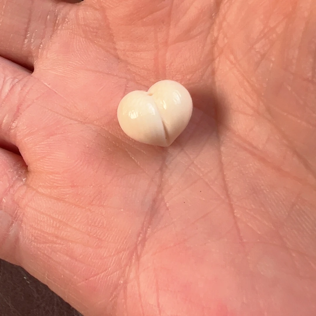 吊坠星月菩提猛犸牙屁桃