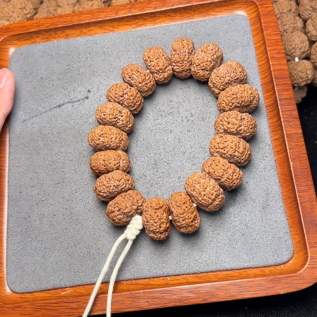 菩提12号尼泊尔大金刚23五星夹板菠萝蜜高货