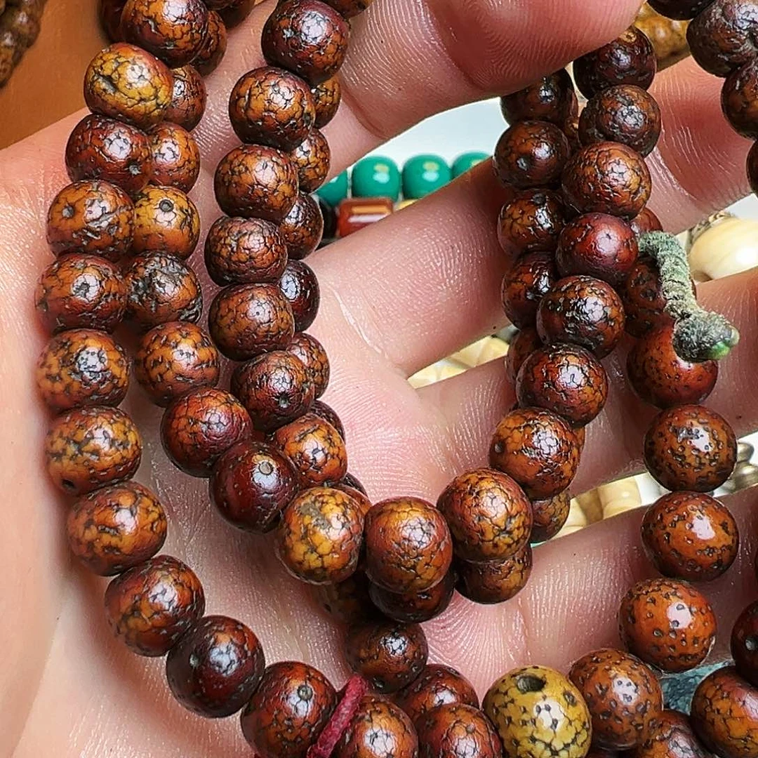 吊坠凤眼菩提啦啦啦啦啦