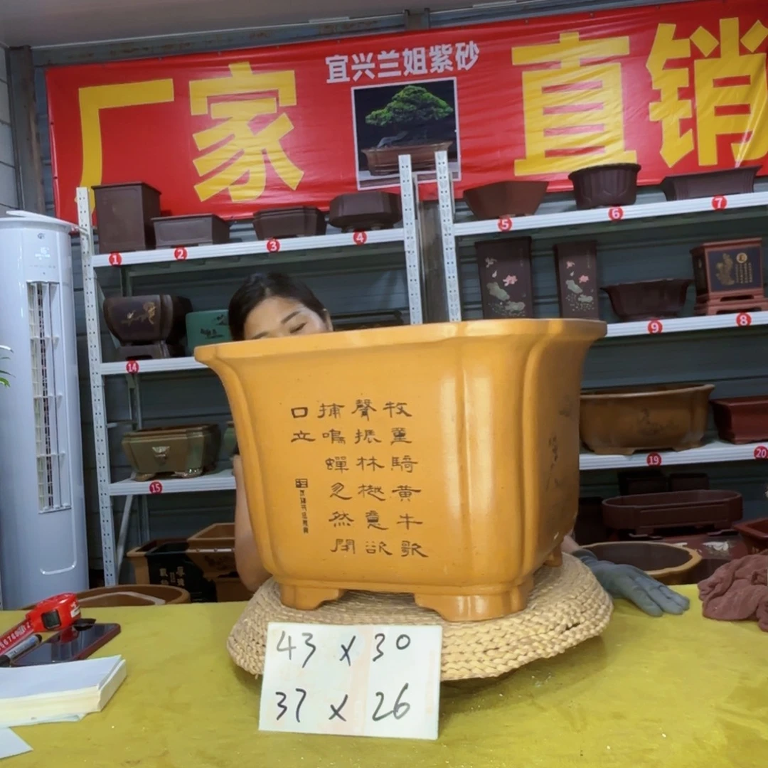 紫砂花盆宜兴紫砂