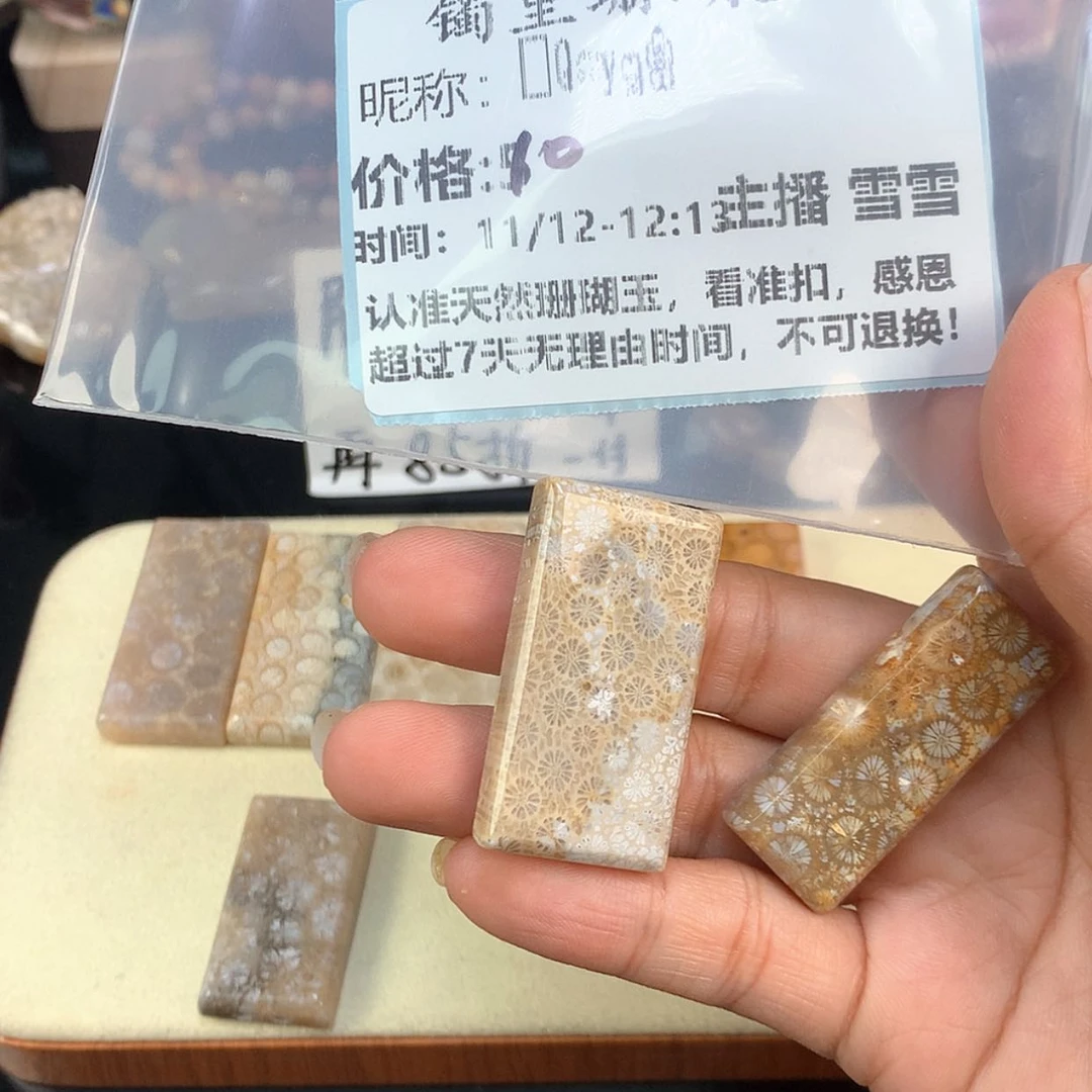 【闪购商品】颈饰未镶嵌硅化珊瑚（珊瑚玉）ℒ****
