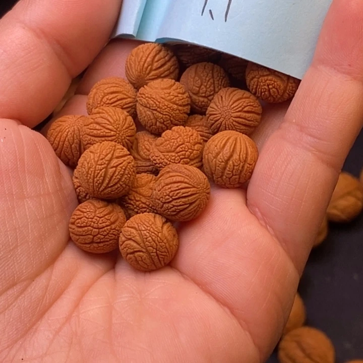 秦岭龙纹桃核21颗