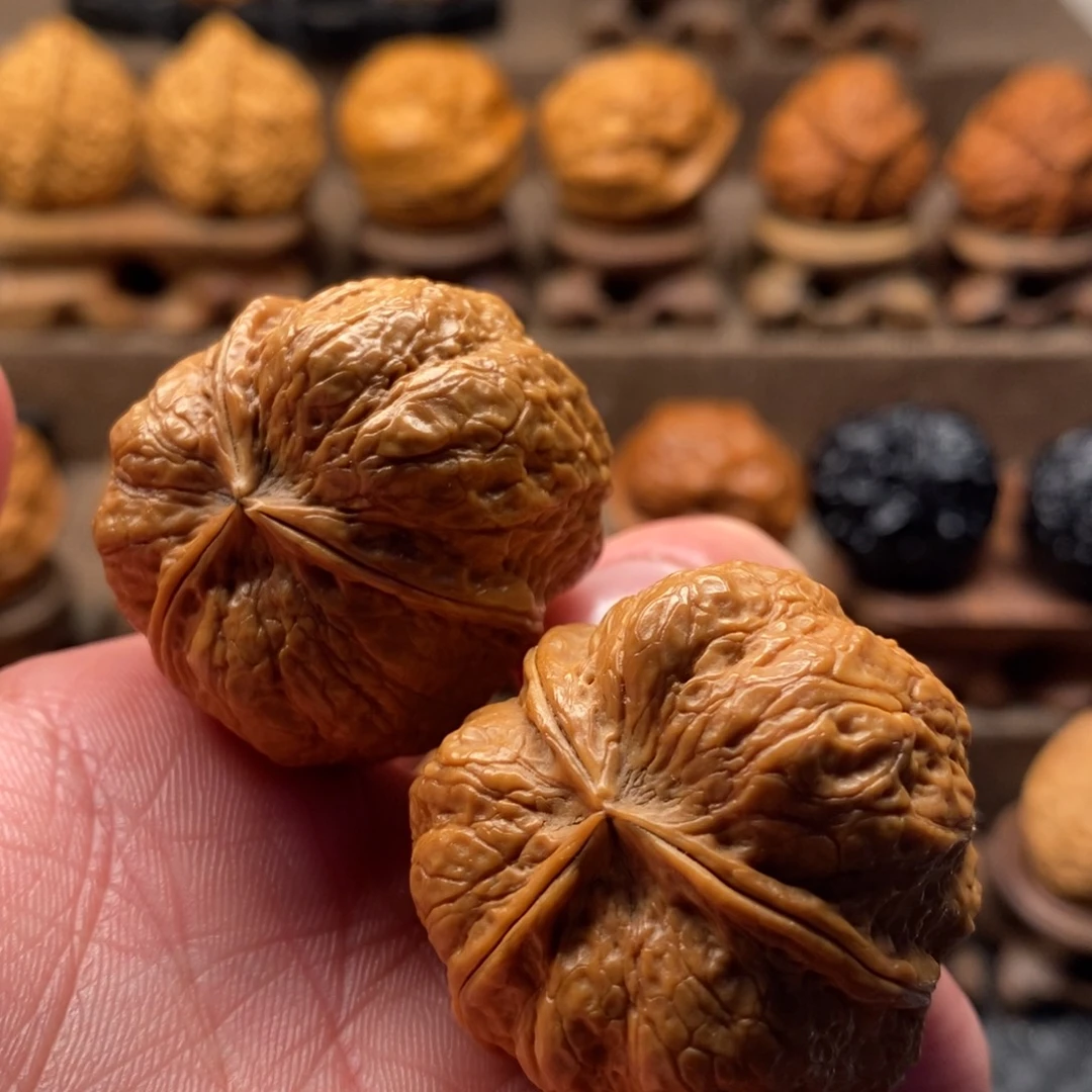 文玩核桃把件铁核桃