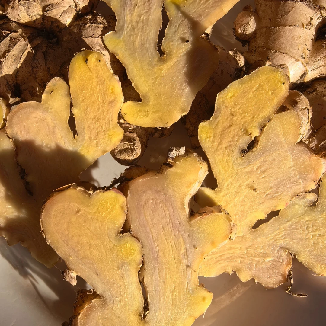 【青姜】云南 新鲜青姜 正宗云南青姜 青色不是坏的，是姜本身的颜色