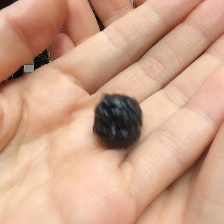 和田玉（墨玉）未镶嵌颈饰龙珠