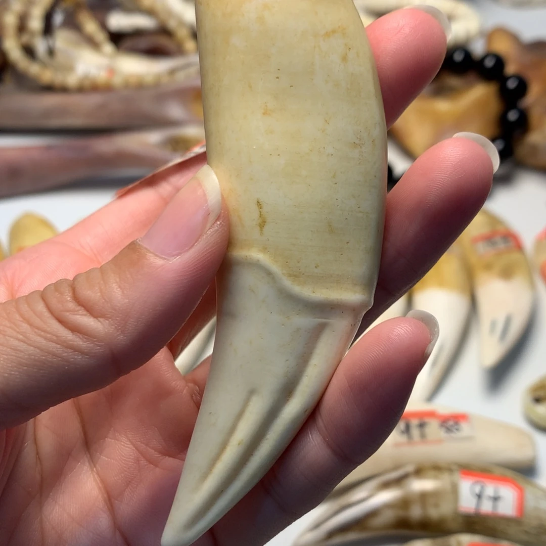 晓***品驼骨把件驼骨把件大白色牙牙