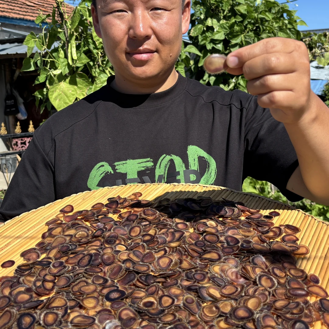 梅花鹿全腊片精品鹿茸全腊片泡酒滋补煲汤泡水