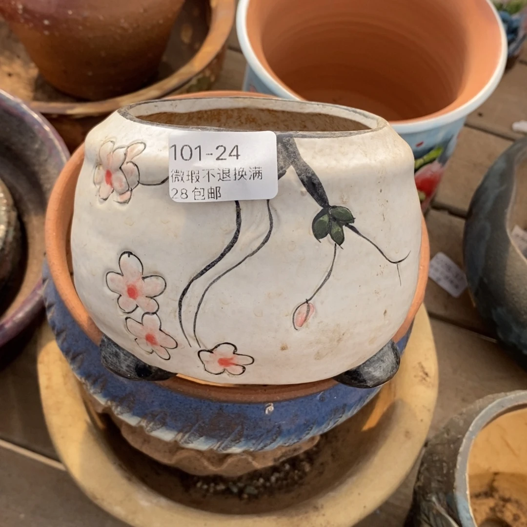 24号花盆内8高8.5