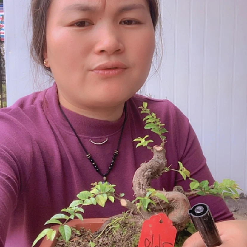 【闪购商品】塑料盆