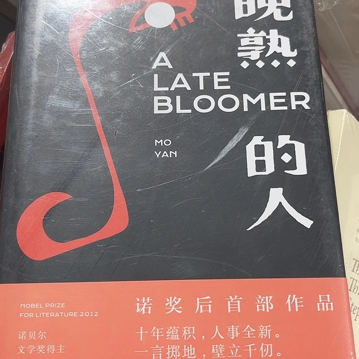 晚熟的人新书推荐全新