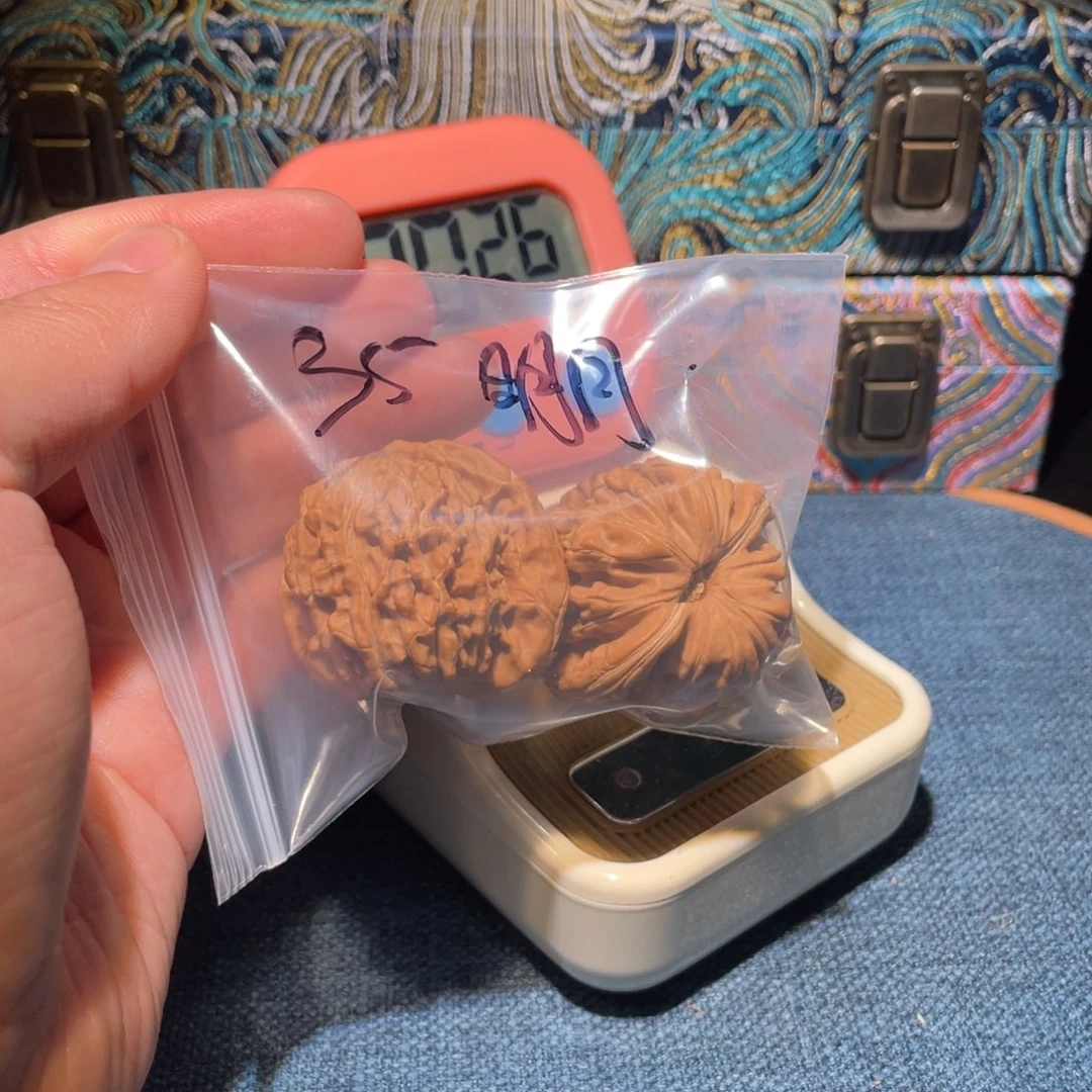 文玩核桃把件卯*月58888888886