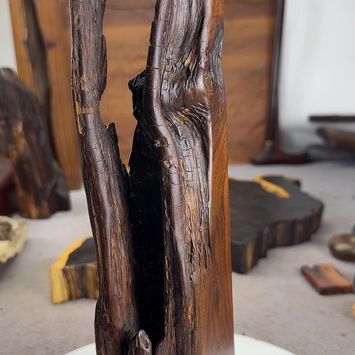 大果紫檀（缅甸花梨）宁****远