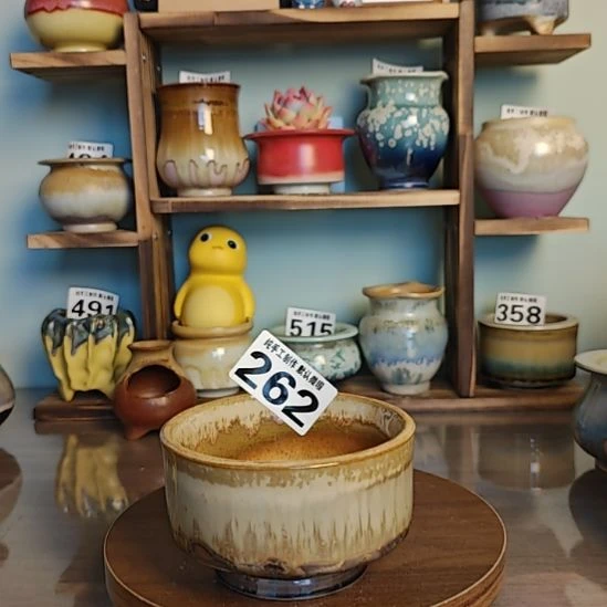 景德镇手工陶瓷盆 口10