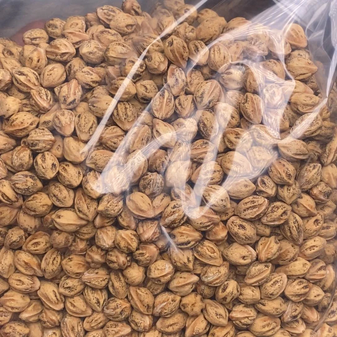 柏香籽/百香籽手串X*