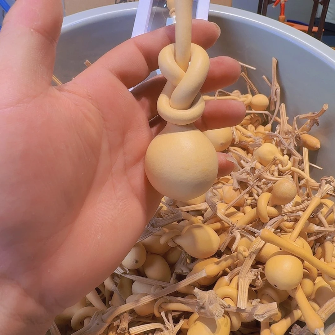 M***彭葫芦科动物大白腿鸟类分布地区海南