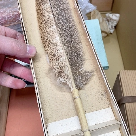 紫砂哈哈哈哈哈哈哈哈